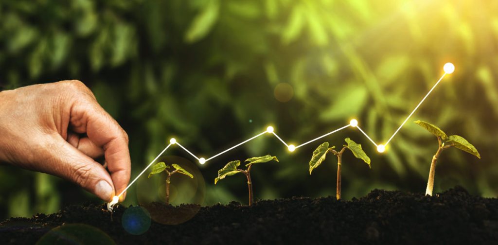 SEO for Cannabis Companies