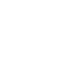 writer (1)